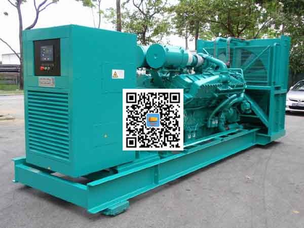 仁布租赁发电机-康明斯发电机性价比还是比较高的