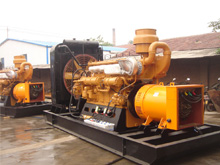 仁布发电机组的频率规格是如何确定的？