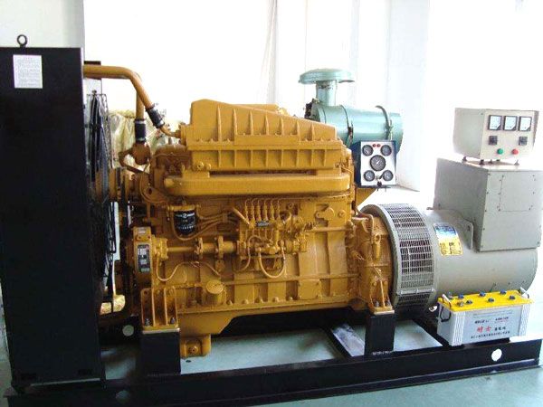 仁布有哪些有效的方法可以预防柴油发电机组的蓄电池出现硫化现象？